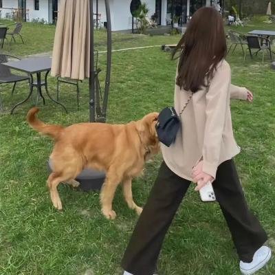 特色街道