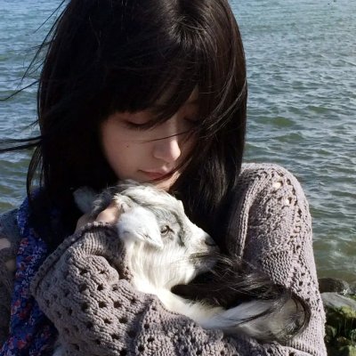 生活大爆炸第十一季
